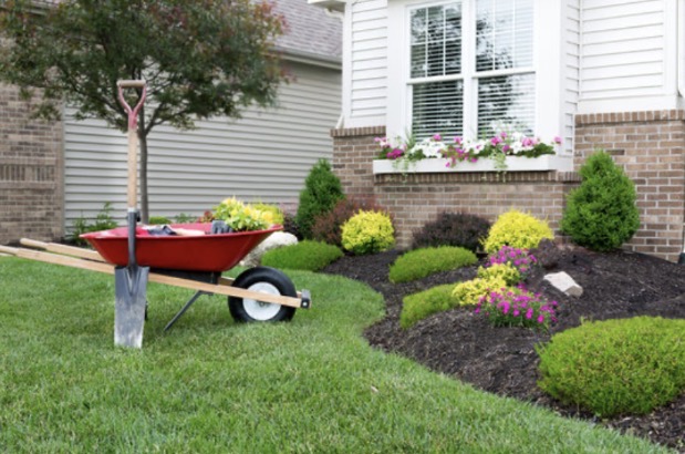 Landscaping