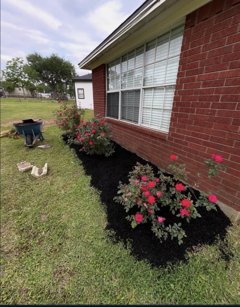 Fresh mulch install
